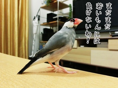 s-CIMG2419