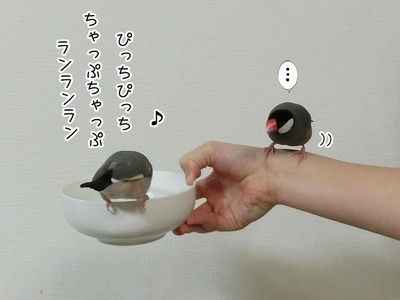 s-CIMG8846