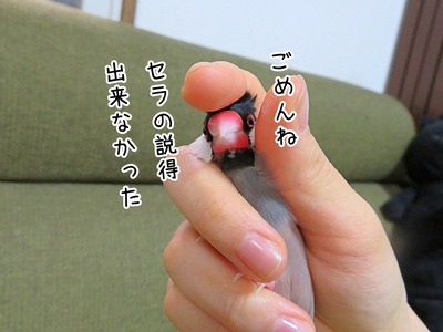 s-IMG_1039