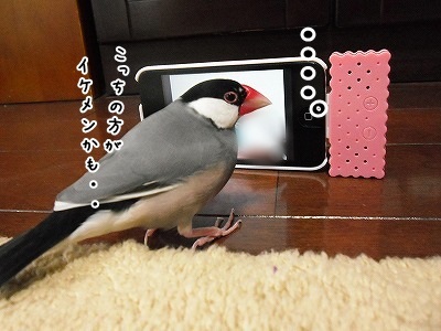 ブンチョ日誌