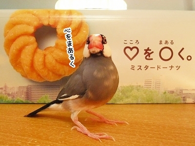 ブンチョ日誌
