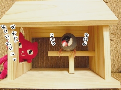 ブンチョ日誌