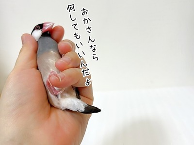 s-IMG_6684