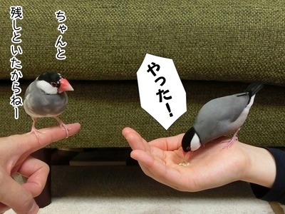 s-CIMG0295