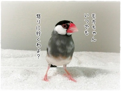 s-CIMG5746