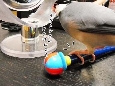 ブンチョ日誌