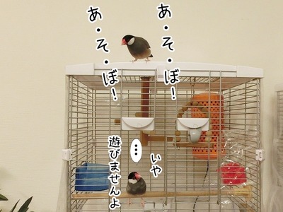 s-CIMG0676