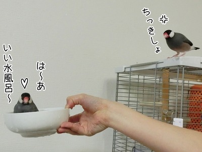 s-CIMG8858