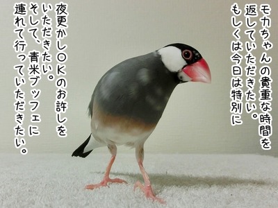 s-CIMG7866
