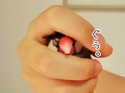 s-CIMG0524