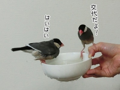 s-CIMG8869