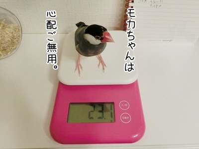 s-CIMG6480