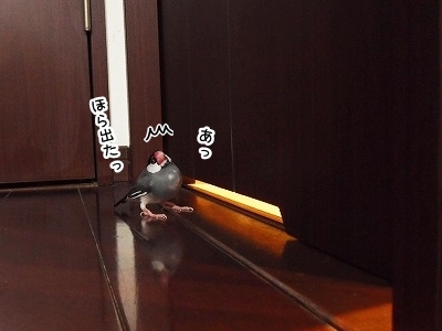 ブンチョ日誌