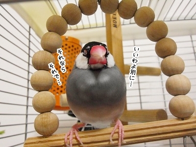ブンチョ日誌