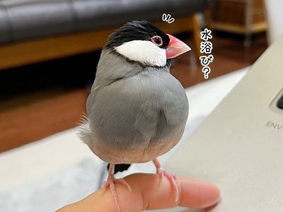 6