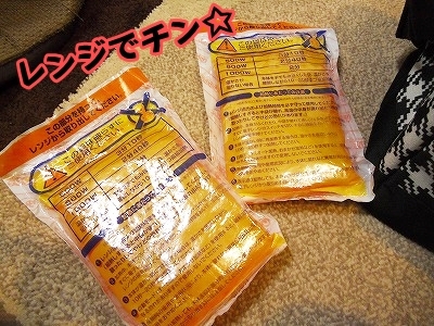 ブンチョ日誌
