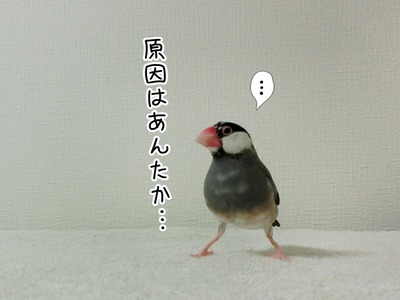 s-CIMG9584