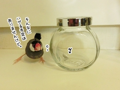 ブンチョ日誌