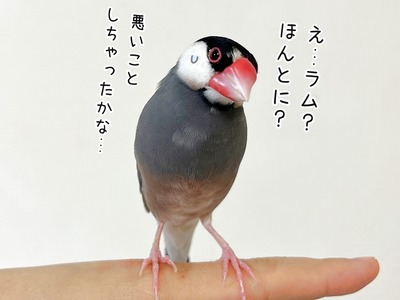 s-IMG_6401