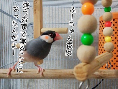 s-IMG_5064