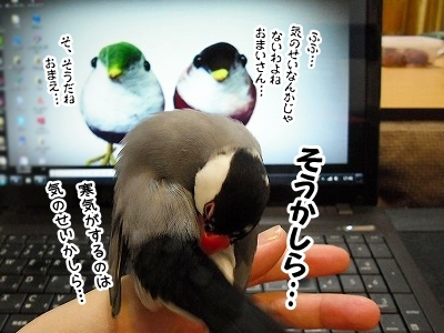 ブンチョ日誌