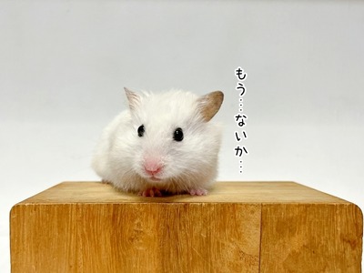 s-IMG_5570