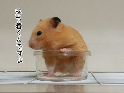 s-CIMG3578