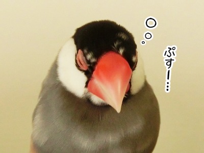 CIMG0327