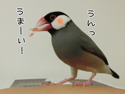 s-CIMG0376