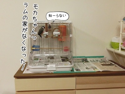 s-CIMG8278