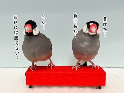 １３