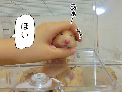 s-CIMG1583