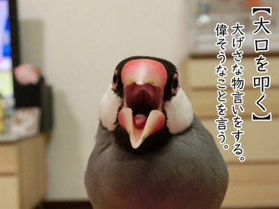 s-CIMG7448