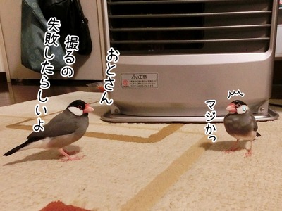 s-CIMG5299