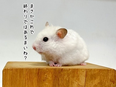 s-IMG_5552