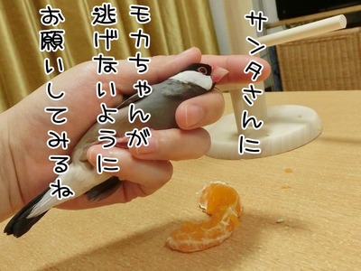s-CIMG8802