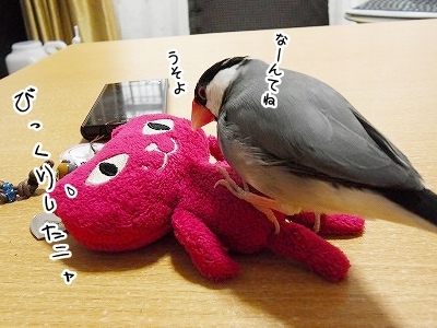 ブンチョ日誌
