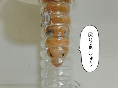 s-CIMG8711