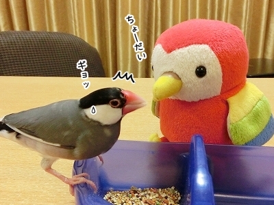 ブンチョ日誌