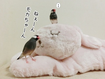 s-CIMG8944