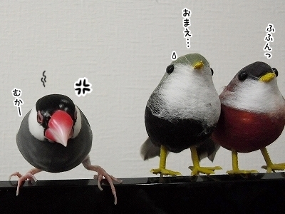 ブンチョ日誌
