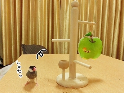ブンチョ日誌
