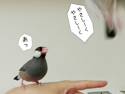 s-CIMG0192