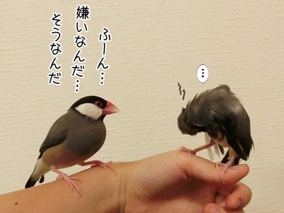 s-CIMG0313