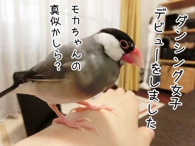 s-CIMG0624