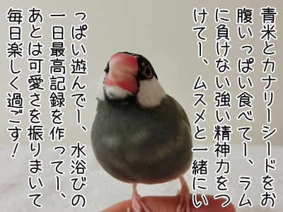 s-CIMG8399
