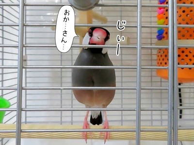 s-IMG_3258
