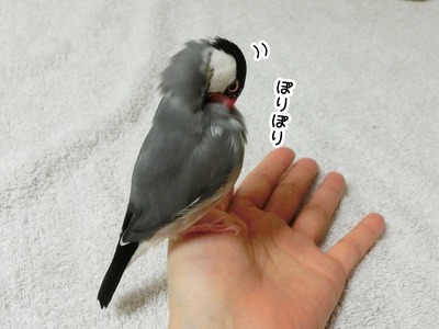 s-CIMG0099