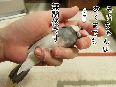 s-CIMG0098