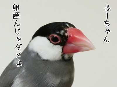 s-CIMG3504